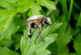 Foto Hannco Bakker
