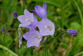 Foto Hannco Bakker