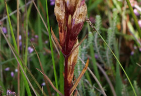 Foto Annemieke Hoozemans