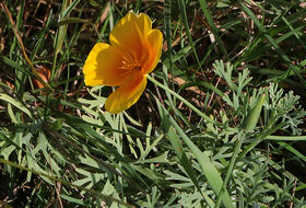 Foto Annemieke Hoozemans