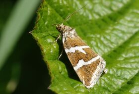 Foto Hans Jonkman