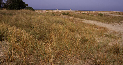 Foto Paolo Fontana