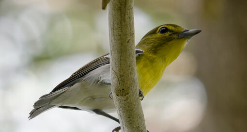 Foto Michiel Oversteegen