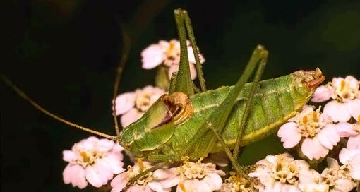 Foto Klaus-Gerhard Heller